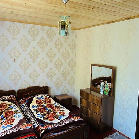 Vaso'S Guesthouse Katskhi Extérieur photo