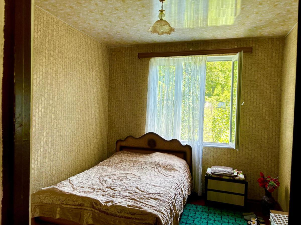 Vaso'S Guesthouse Katskhi Extérieur photo