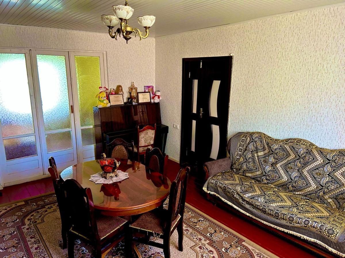 Vaso'S Guesthouse Katskhi Extérieur photo