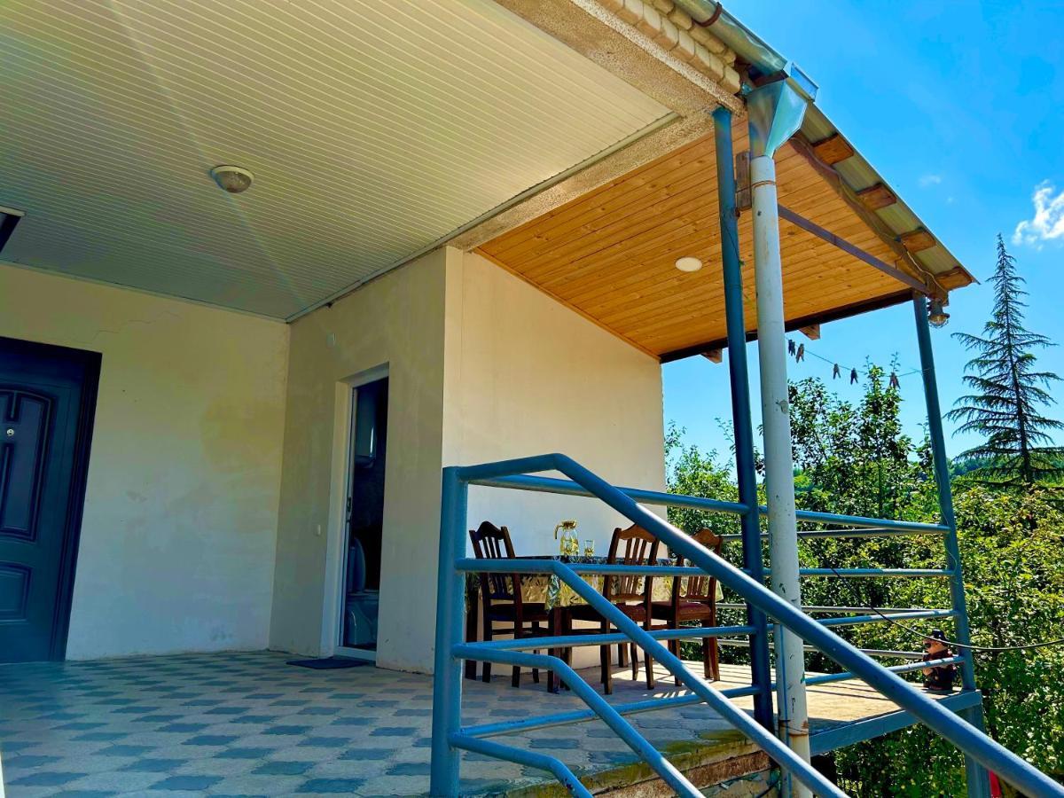Vaso'S Guesthouse Katskhi Extérieur photo